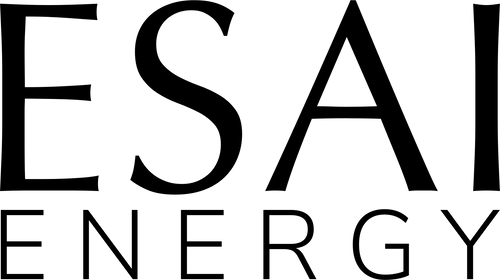 638777a841191e721b31c1f5_ESAI Logo_Black-p-500-Jul-31-2023-03-27-48-7330-PM